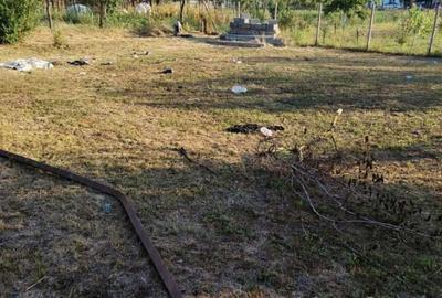 Casă cu 3 camere în Pădureni - 6