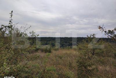 Spațiu comercial, în Leamna de Jos - 3