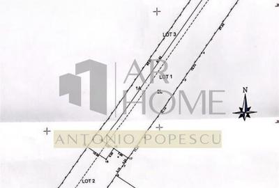 Teren intravilan, in Paulesti, Prahova - 8