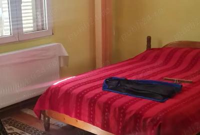 Vand casa in comuna Copaceni, sat Ulmetu, jud Valcea - 7