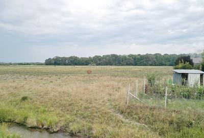 Teren Extravilan - 13