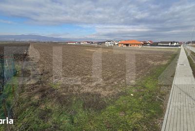 Teren de 14300 mp, în Ciugud - 1