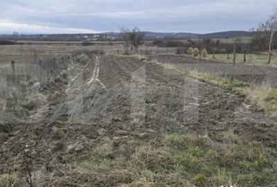 Teren de 1996 mp, în Viile Satu Mare - 2