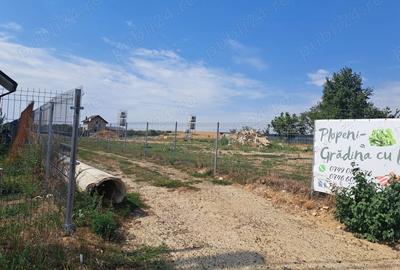 Teren de 4000 mp, în Plopeni - 4