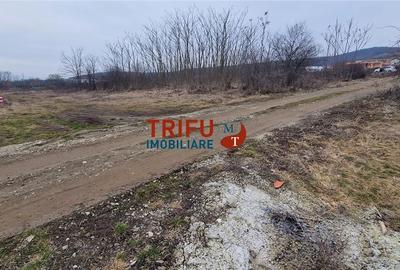Teren de 1091 mp, în Cetate - 5