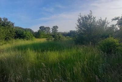 Teren în Mircea Vodă - 3