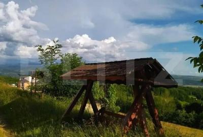 Casă cu 3 camere cu Teren 3500 Mp în Central - 13