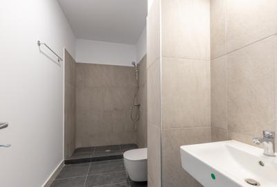 Penthouse , scara interioara , terasa cu vedere superba in Parcul Tineretului - 14