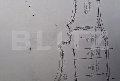 Spațiu comercial, în Paltin - 1