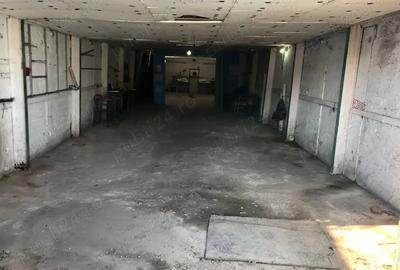 Hala spa?ioasa 120 mp la DN67, sat Halanga - 2