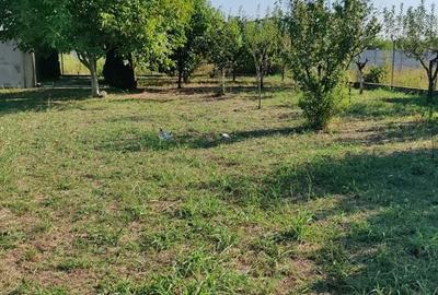 Teren de 650 mp, în Central - 7