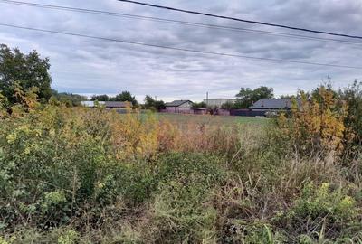 COSERENI( il ) - TEREN 2K MP DE VANZARE (52 M DESCHIDERE ... - 1