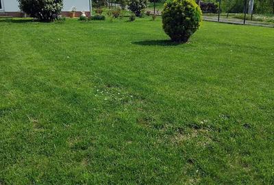Casă cu 2 camere cu Teren 3500 Mp în Central - 9
