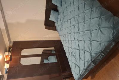 Apartament cu 2 camere decomandat în Moara de foc - 11