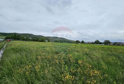 Teren Construcții intravilan de 1495 mp, în Dobreni - 16