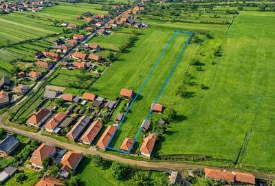 Teren Construcții intravilan de 2819 mp, în Mereni - 11