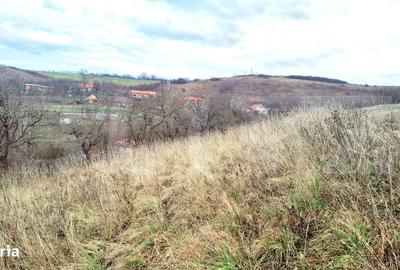 Spațiu comercial, în Sopor