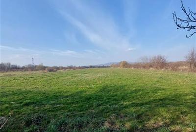 Teren Construcții extravilan de 34100 mp, în Central - 2