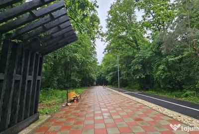 Teren de 22500 mp, în Păulești
