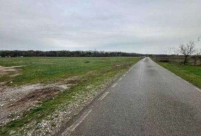 Teren de 5000 mp, în Bănești - 2