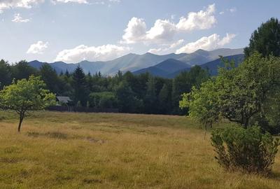 Teren de 2000 mp, în Uric - 1