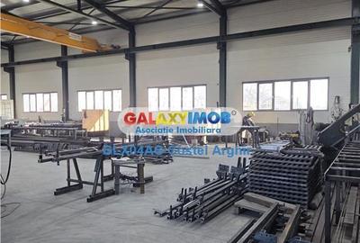 Spațiu comercial, de 1,100 mp, în Dârmănești - 13