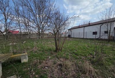 Teren Construcții intravilan de 3842 mp, în Gagu - 6