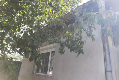 Casă cu 2 camere în Olosig