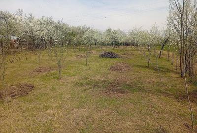 Casă cu 3 camere cu Teren 1700 Mp în Jugureni - 6