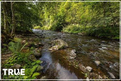 Cabană de vânzare, 95m? utili, teren 1276m?, Sălard! - 9