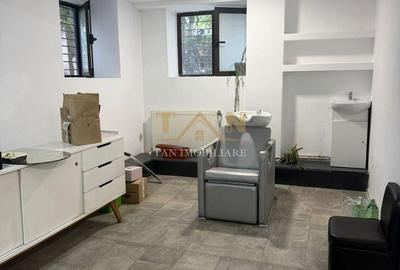 Spațiu comercial, de 100 mp, în Take Ionescu - 4