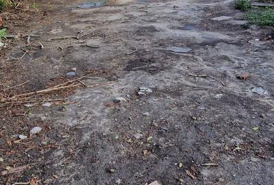 Teren de 1837 mp, în Grădiștea - 2