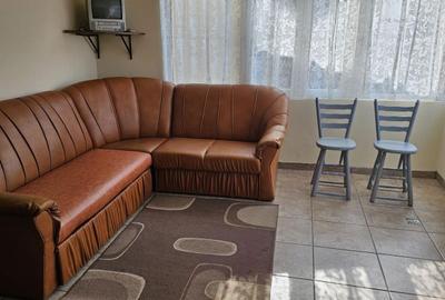 Apartament cu 2 camere decomandat în Bratia din Deal - 6