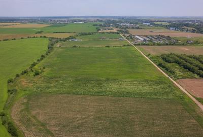 BALOTESTI - SAFTICA, TEREN INTRAVILAN 500 MP, DESCHIDERE 21 - 6