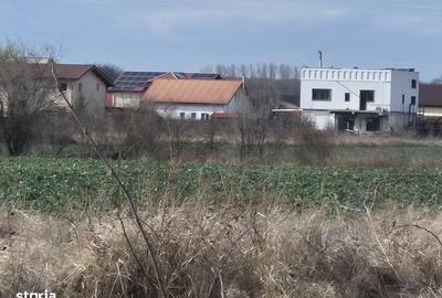Spațiu comercial, în Balotești - 13