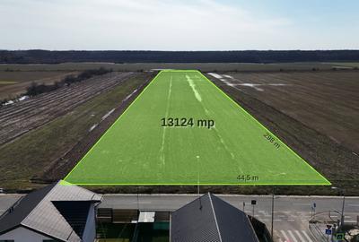 Teren Construcții intravilan de 13124 mp, în Buftea - 7