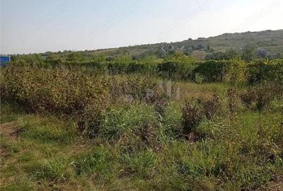 Tomesti - Cabana din lemn si Teren 1008mp intravilan - 2