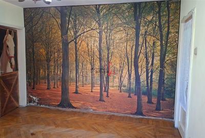 3 camere semidecomadate, et. 2, vedere mixta, 62mp, Gara de Nord- Metrou - 7