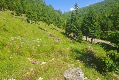 Spațiu comercial, în Măguri - 2