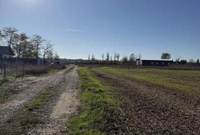 Spațiu comercial, în Ciolpani - 7