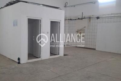 ZONA INDUSTRIALA (COD04)-Hala 270 mp ideal service auto - 4