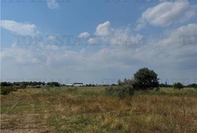 Teren industrial 7.200 mp / DN1B Zona showroom-uri au... - 12