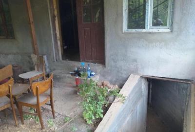 Casă cu 3 camere cu Teren 2600 Mp în Dioști - 1