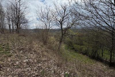 Teren de 10176 mp, în Slătioara - 1