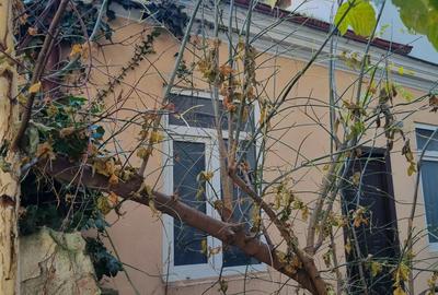 Casă pe parter, poziție premium – perfectă pentru investiție sau birou - 5