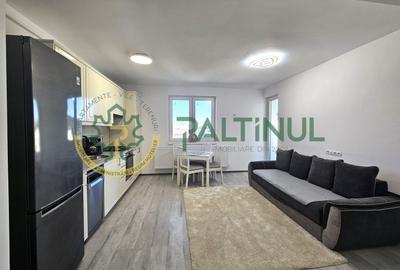 Apartament cu 2 camere nedecomandat, mobilat în Șelimbăr - 3