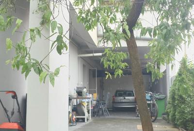 Casa cu etaj ultracentral Alba Iulia - 1