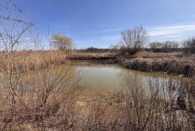 Spațiu comercial, în Păușa - 13