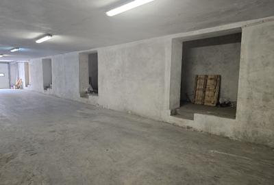 Hala depozitare sau mica productie, zona Zizinului, 400mp - 3