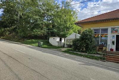 Vanzare spa?iu comercial satesc - 5